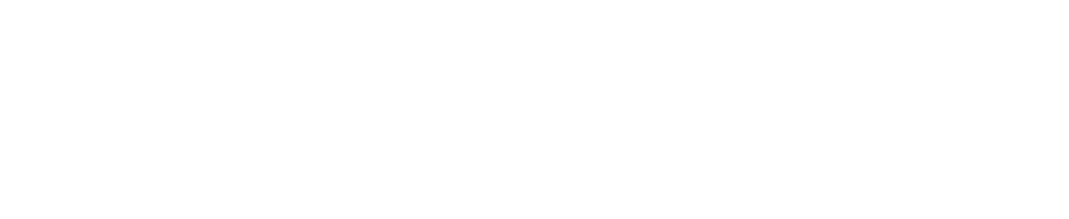 Venus Invoice